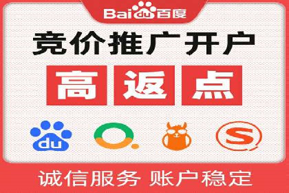 成功SEM托管代运营案例分析